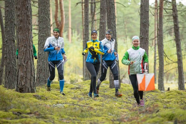 Orienteerumise alused