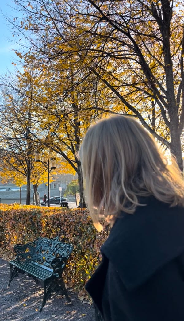 Mida teed sina sügisõhtul?